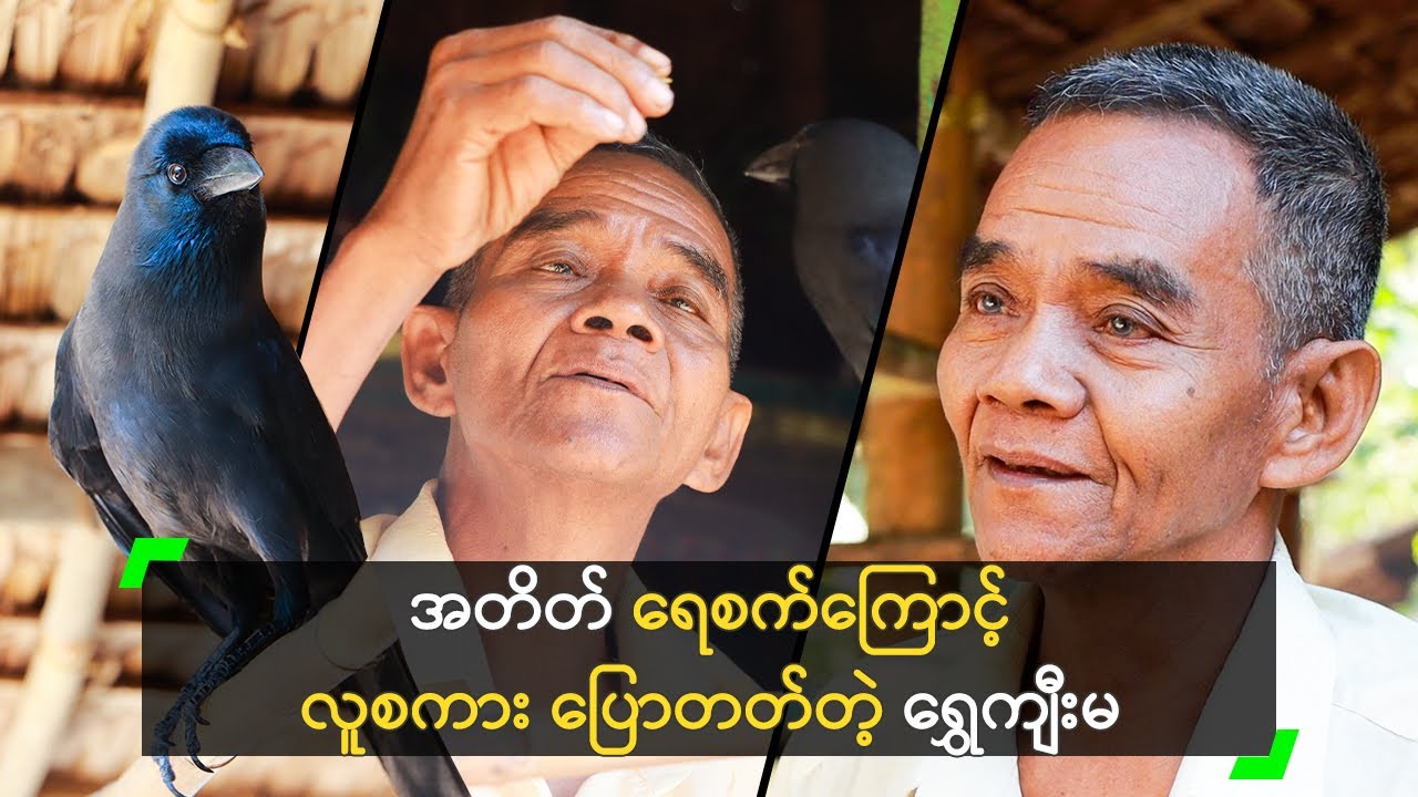 မယုံနိုင်လောက်အောင် လူစကား ပြောတတ်တဲ့ ရွှေကျီးမ