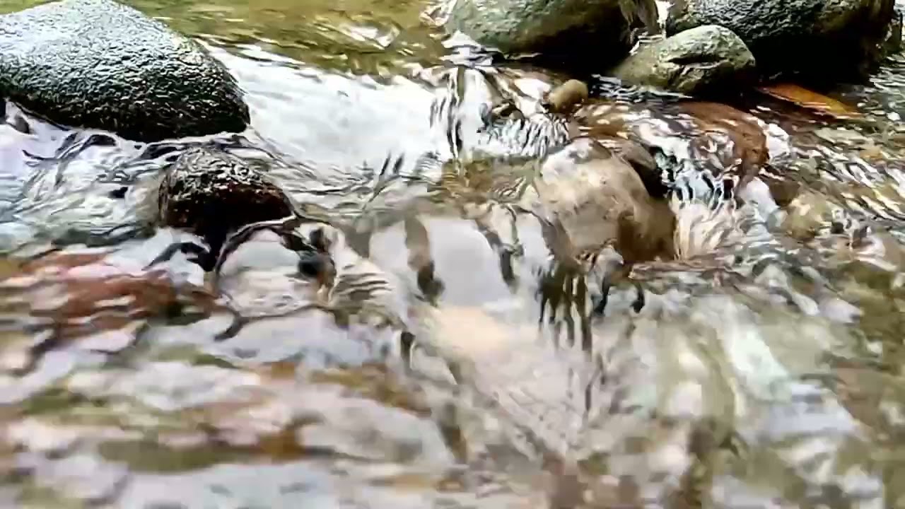 Relaxing River Sounds for Sleep 