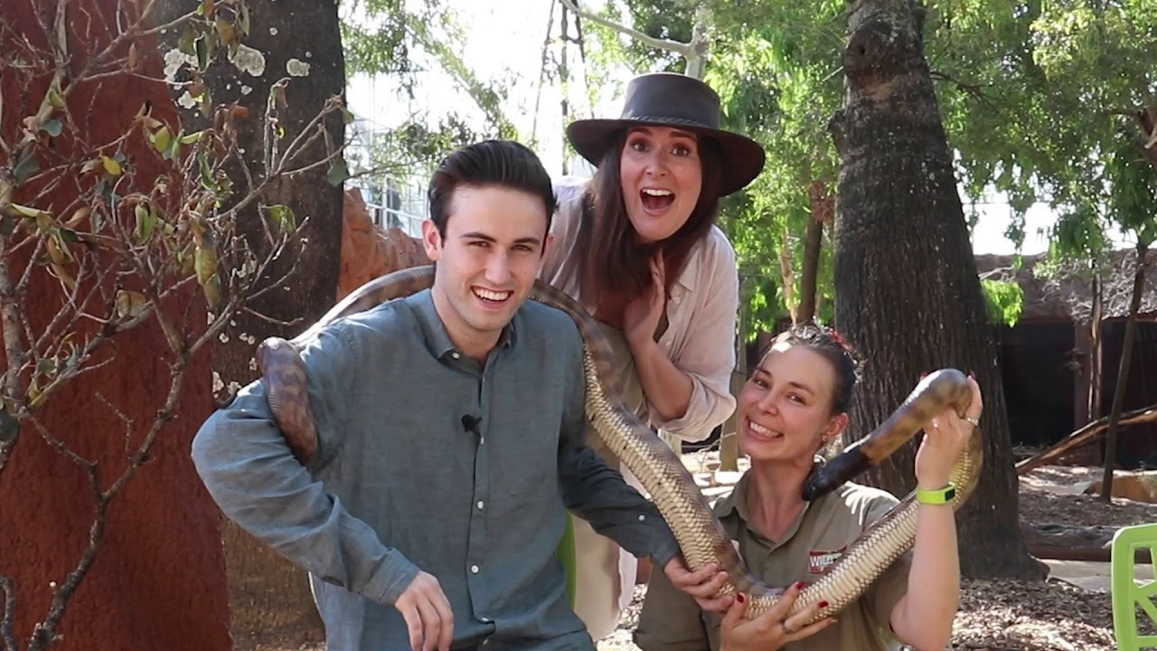 Celebrities Patting Animals. Season 1. Episode 1 - Ciaran Lyons