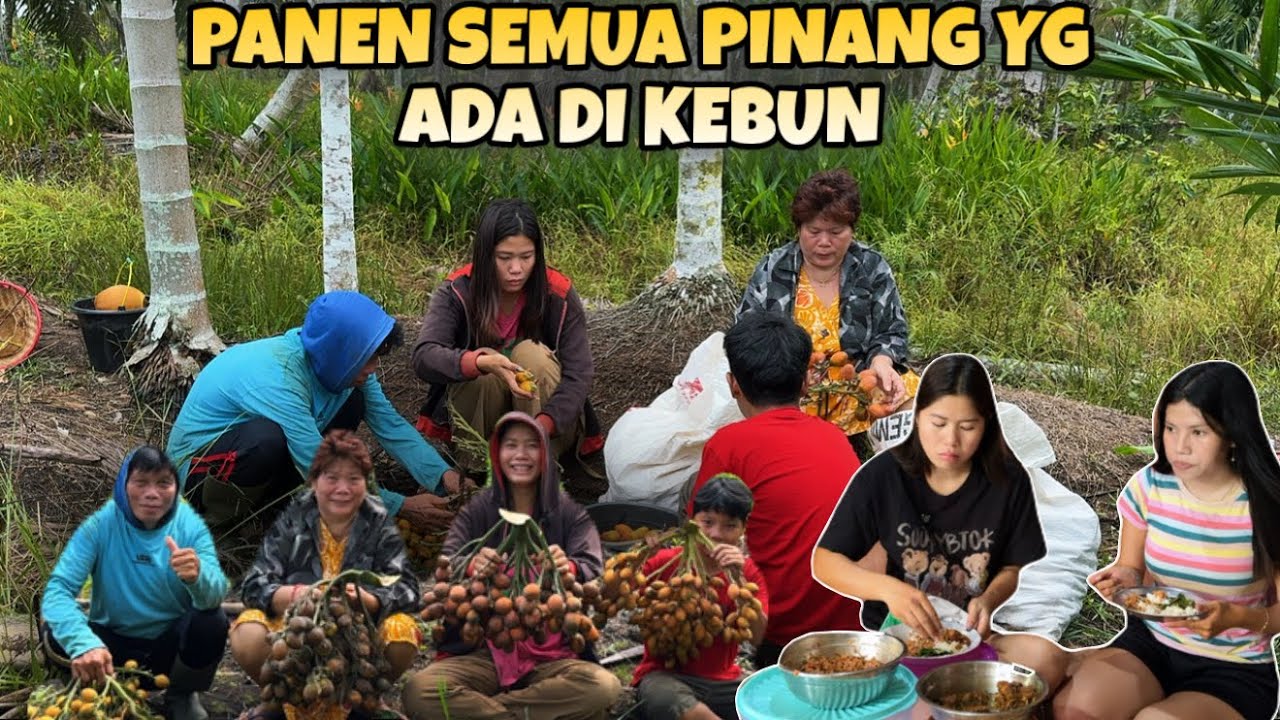 BANTU BAPAKE PANEN SEMUA PINANG YG ADA DI KEBUN DAN BIKIN SAMBAL LENGKUAS IKAN TERI