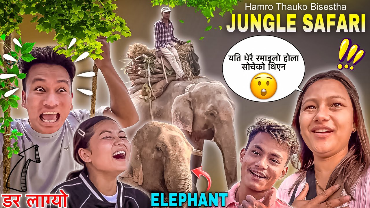 WE'RE GOING TO JUNGLE SAFARI 🥰 || OMG 😳 कति ठूलो हात्ती || Ping Khelda Jhandai Yesto Vho | NyPoLee