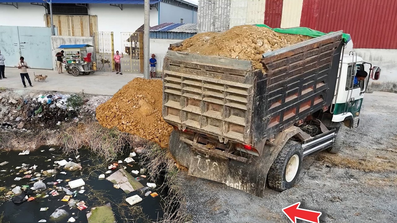 NICE Working, filling up land flooded area using DumpTruck with Skills Dozer KomatSu
