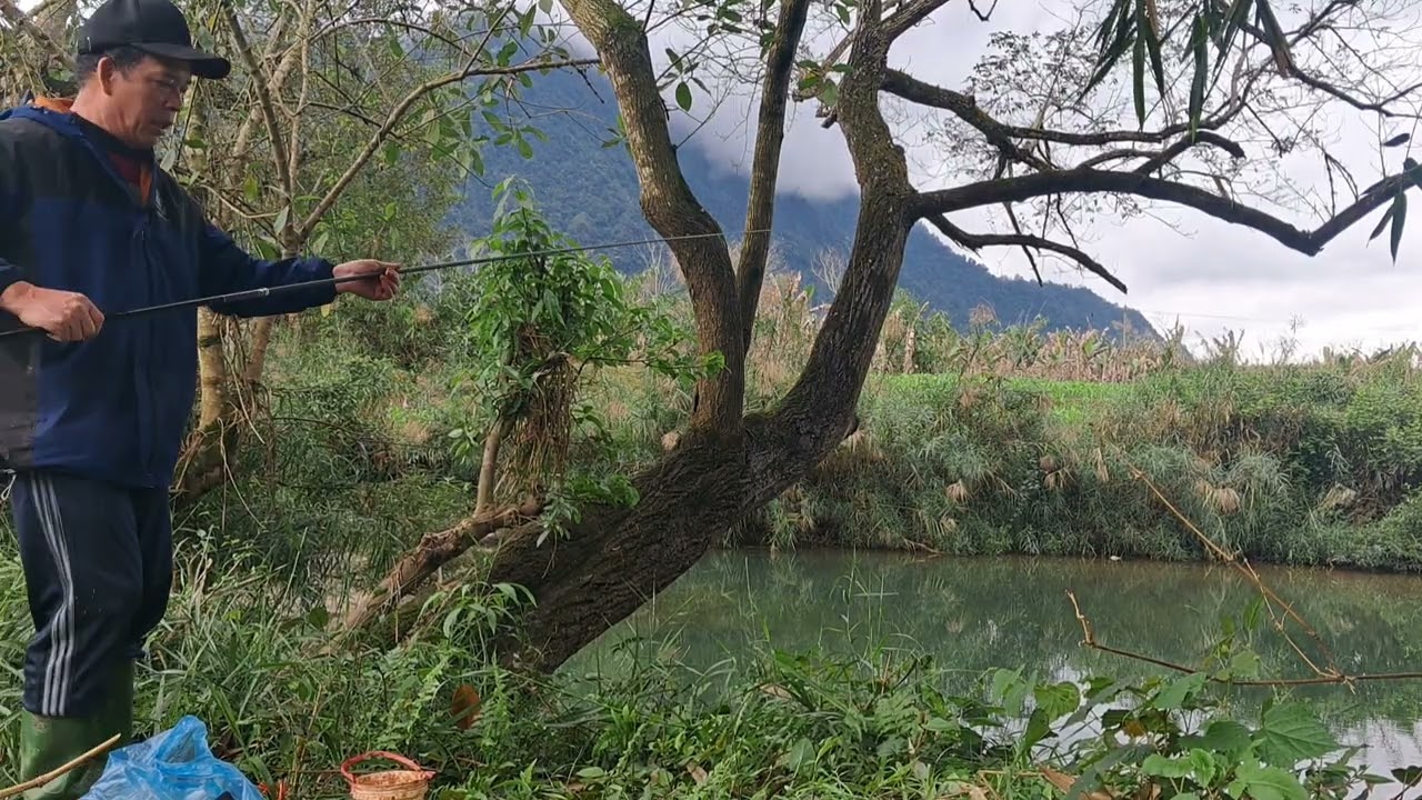 Mung 4 tết đi khai cần chúng con chép và con nhiêu quá phe
