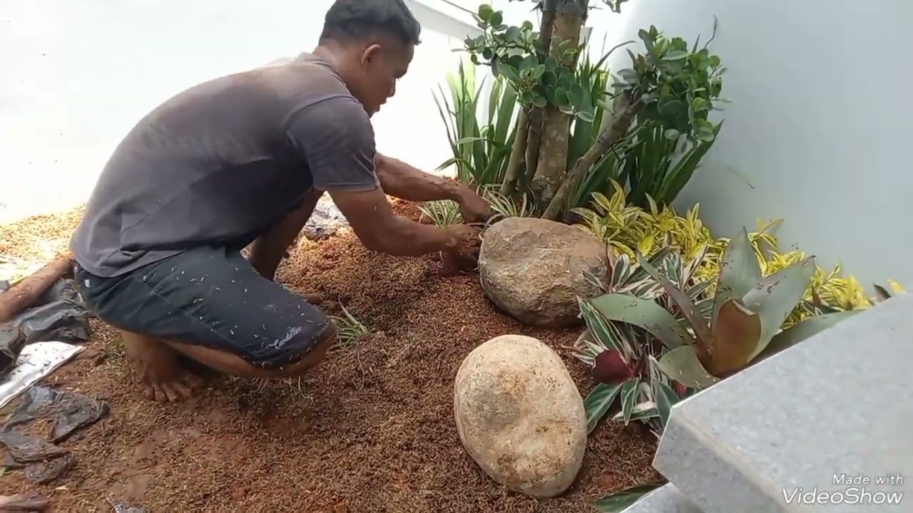 Cara Membuat taman kering dengan Budget Terjangkau Depan Rumah Minimalis