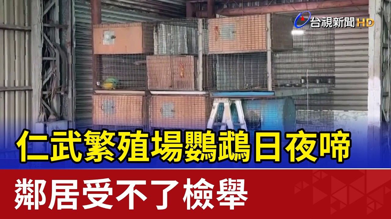 仁武繁殖場鸚鵡日夜啼 鄰居受不了檢舉
