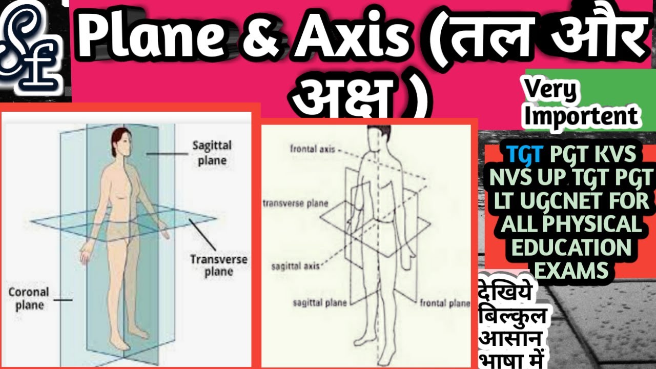 Plane And Axis Movement/Plane And Axis Of Body/Plane And Axis in Hindi/Plane And Axis In Biomechanic