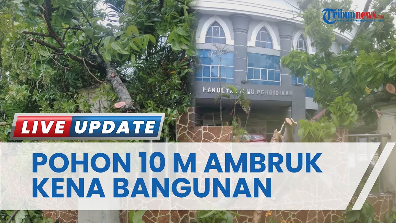 Cuaca Ekstrem di Gorontalo, Berbagai Titik Digenangi Air Setinggi Lutut Orang Dewasa & 1 Pohon Roboh