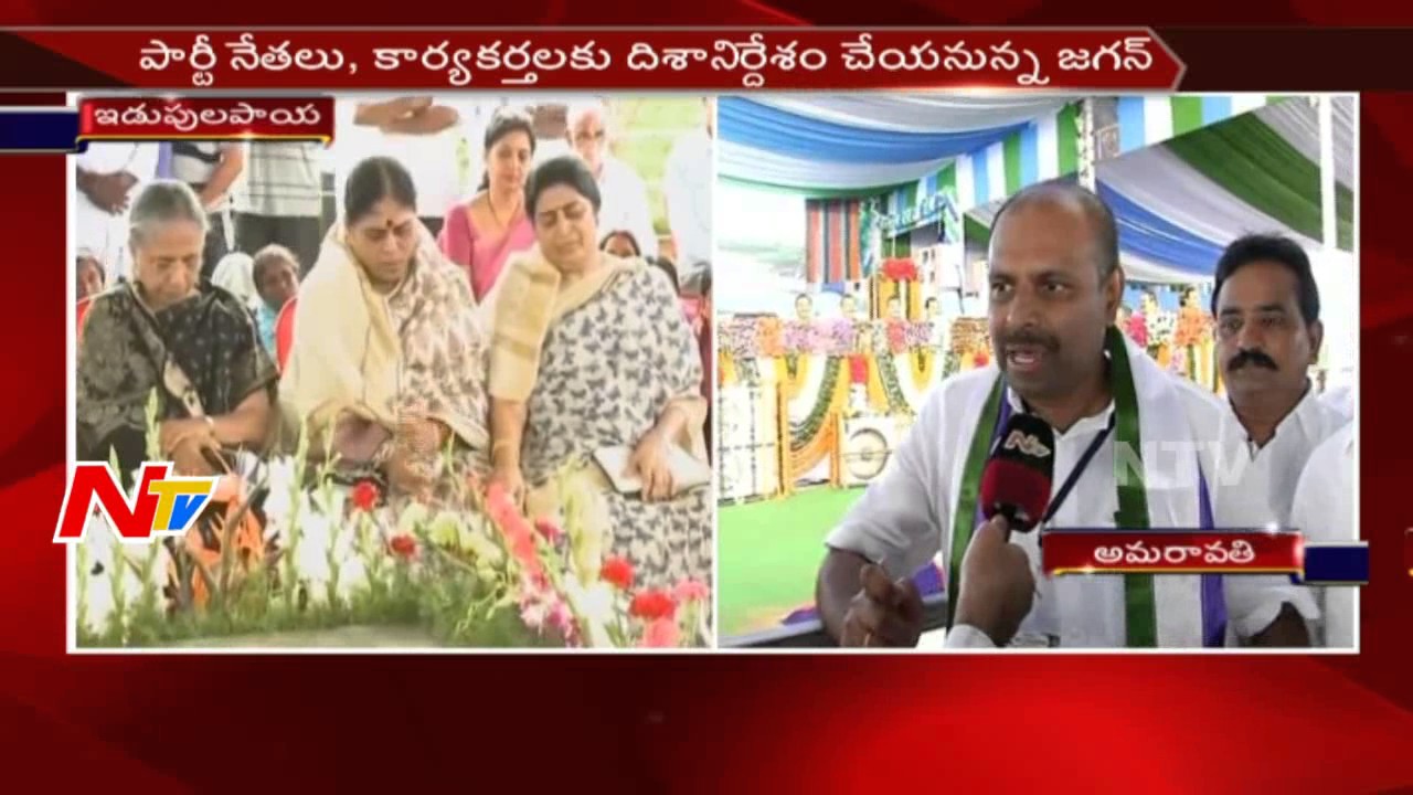 Face to Face with YCP Leader Srikanth Reddy || YSRCP Plenary 2017 || NTV