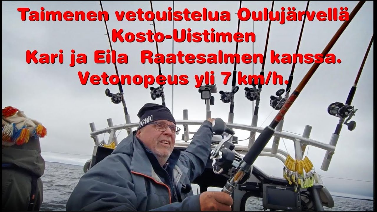 Taimenen vetouistelua Oulujärvellä 18.10.2022.