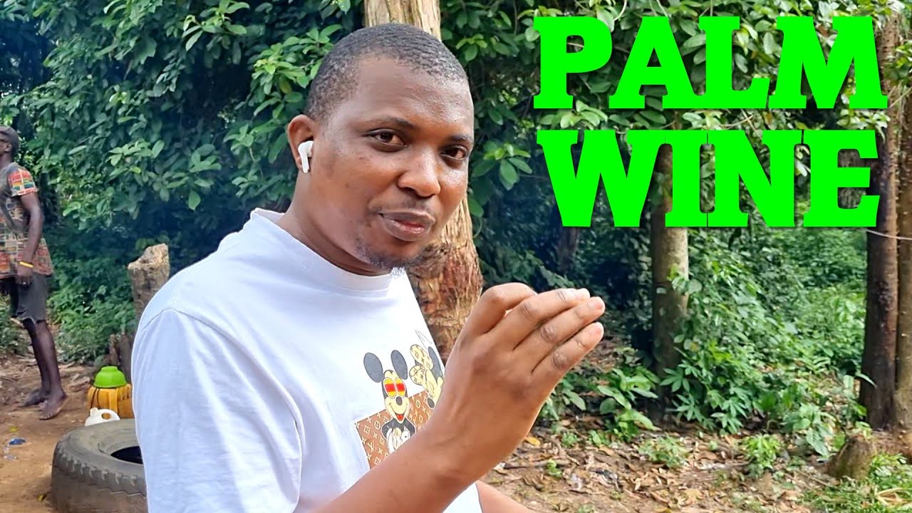 How Palm Wine is Made in Western Africa
