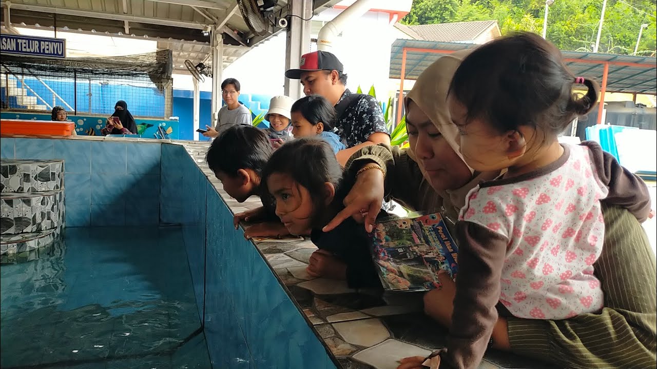 Pusat ikan hiasan Port Dickson