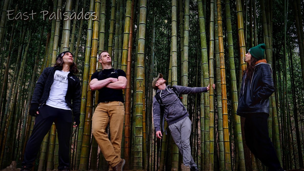 MASSIVE Bamboo Forest in Atlanta? (Hiking East Palisades)