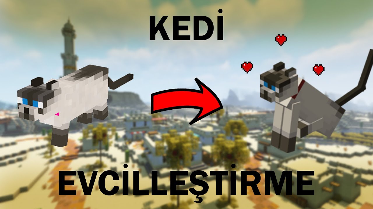Minecraft'ta Kedi Nasıl Evcilleştirilir?