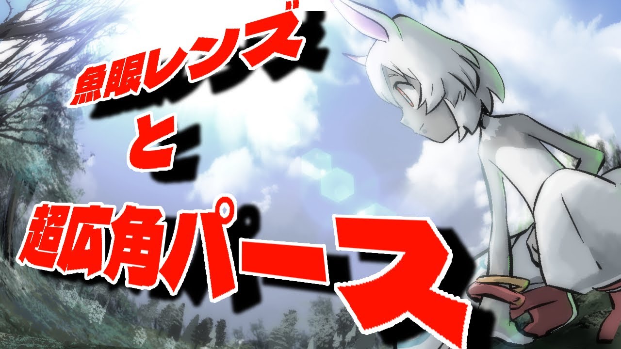 広角レンズや魚眼レンズを通したイラストを描くときに注意する事