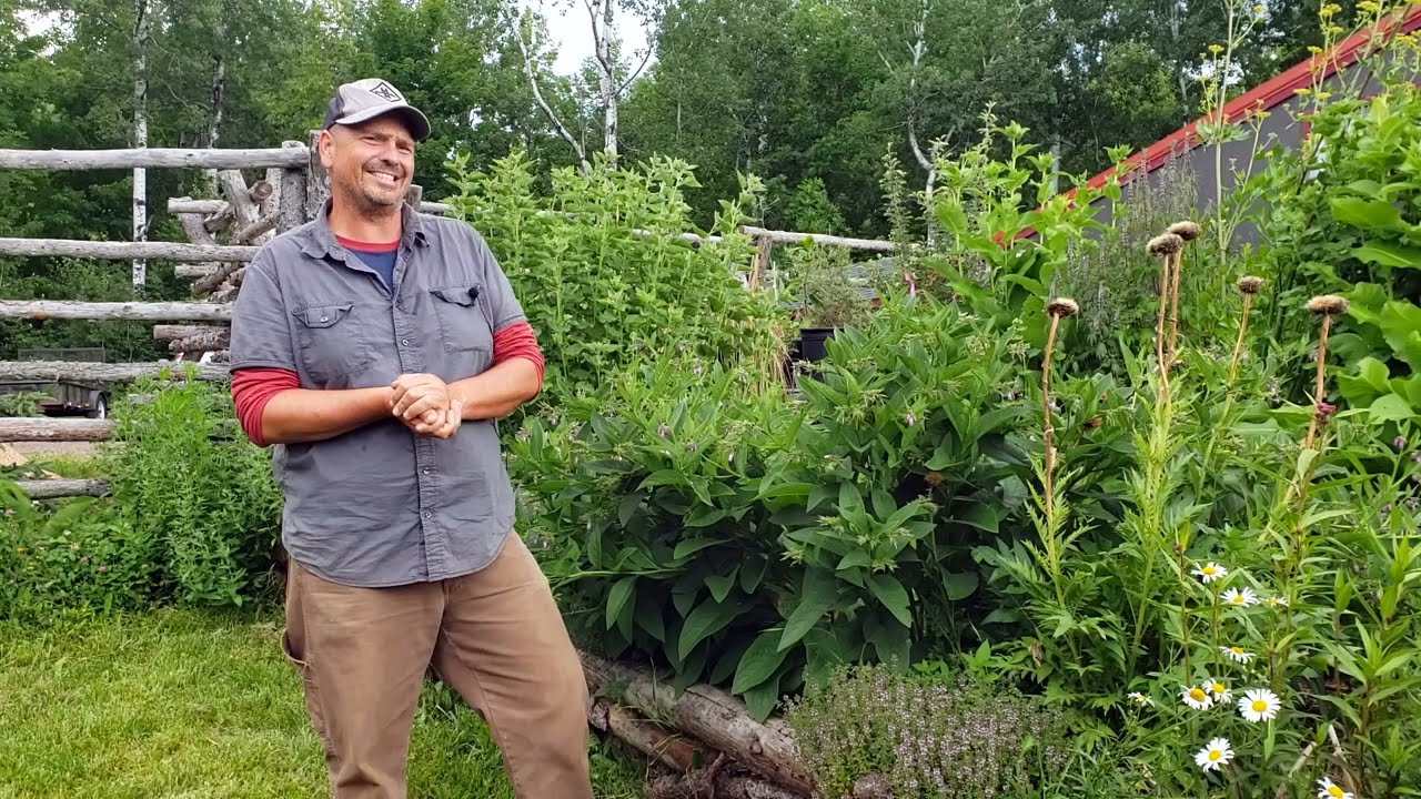 Comfrey Bioferment Workshop