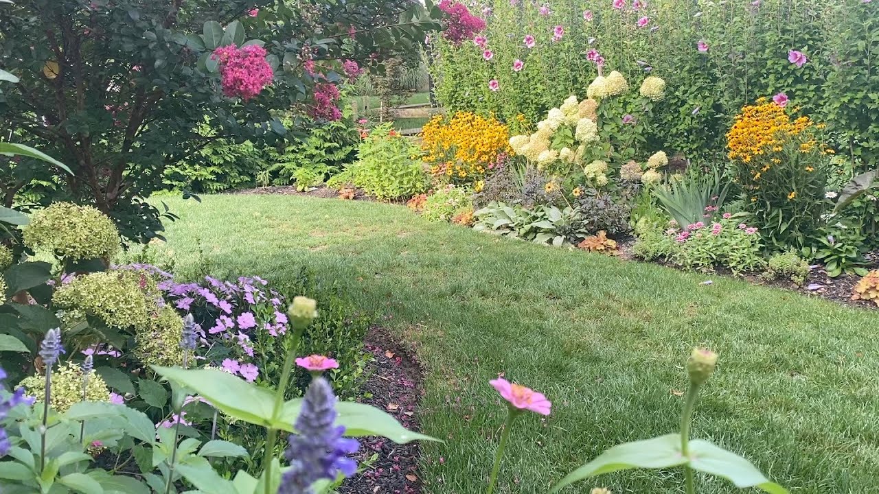 Peak Bloom🌺Full Mid August Garden Tour!  Front, Back, and Side Yards🌸