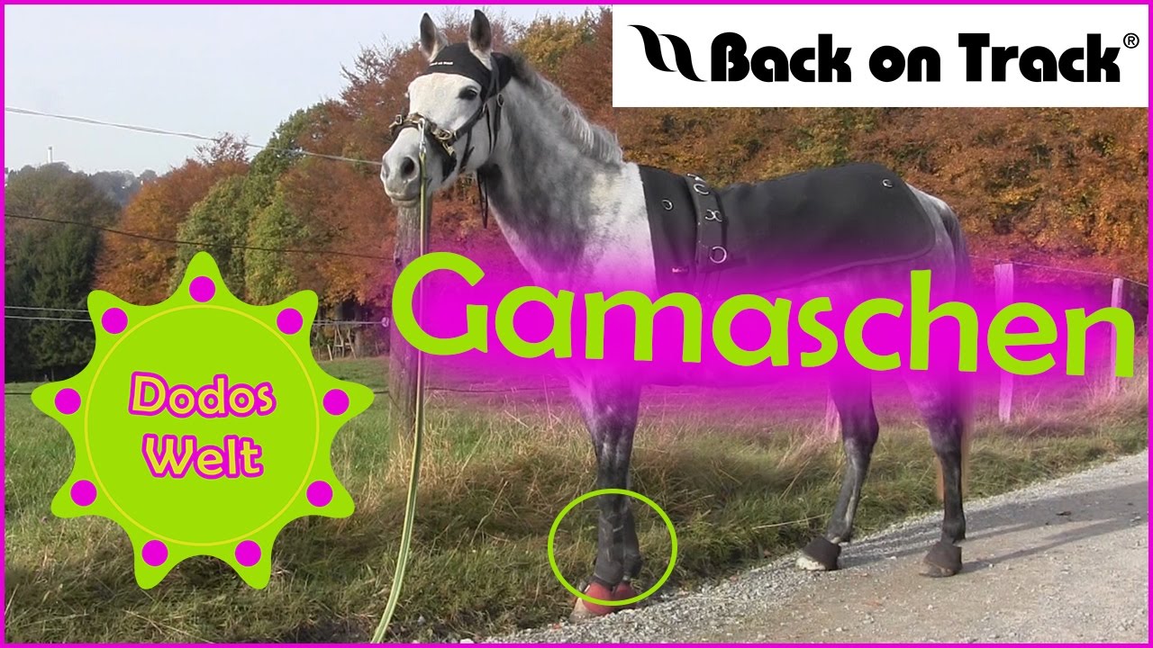 [imTest] #3 | BACK ON TRACK | Arbeitsgamaschen | Dodos Welt