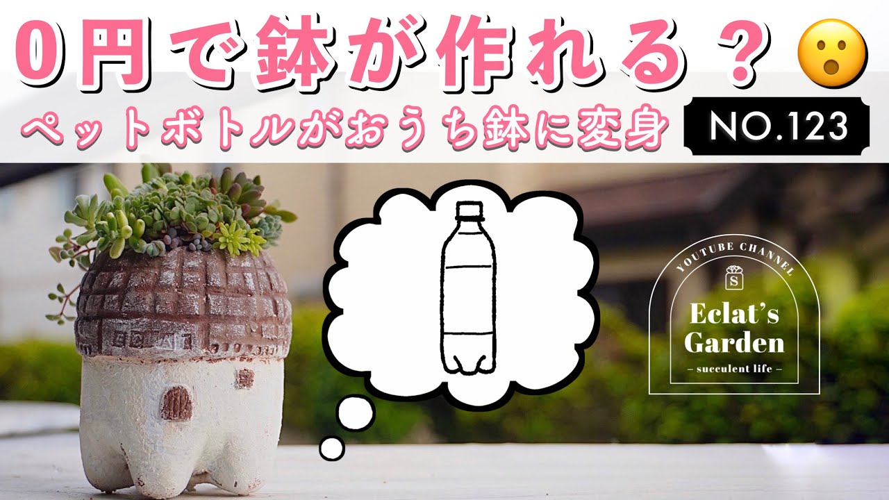 NO.123【多肉植物】【0円リメ鉢】この夏は鉢を作りましょう！！🪴