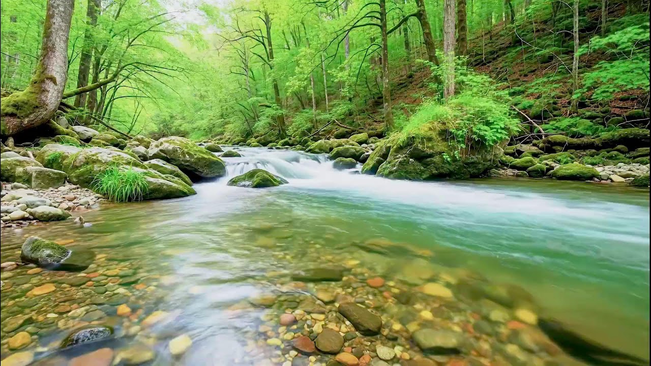 Calming River Sound for Deep Sleep | Natural Healing Ambience for Health and Peace