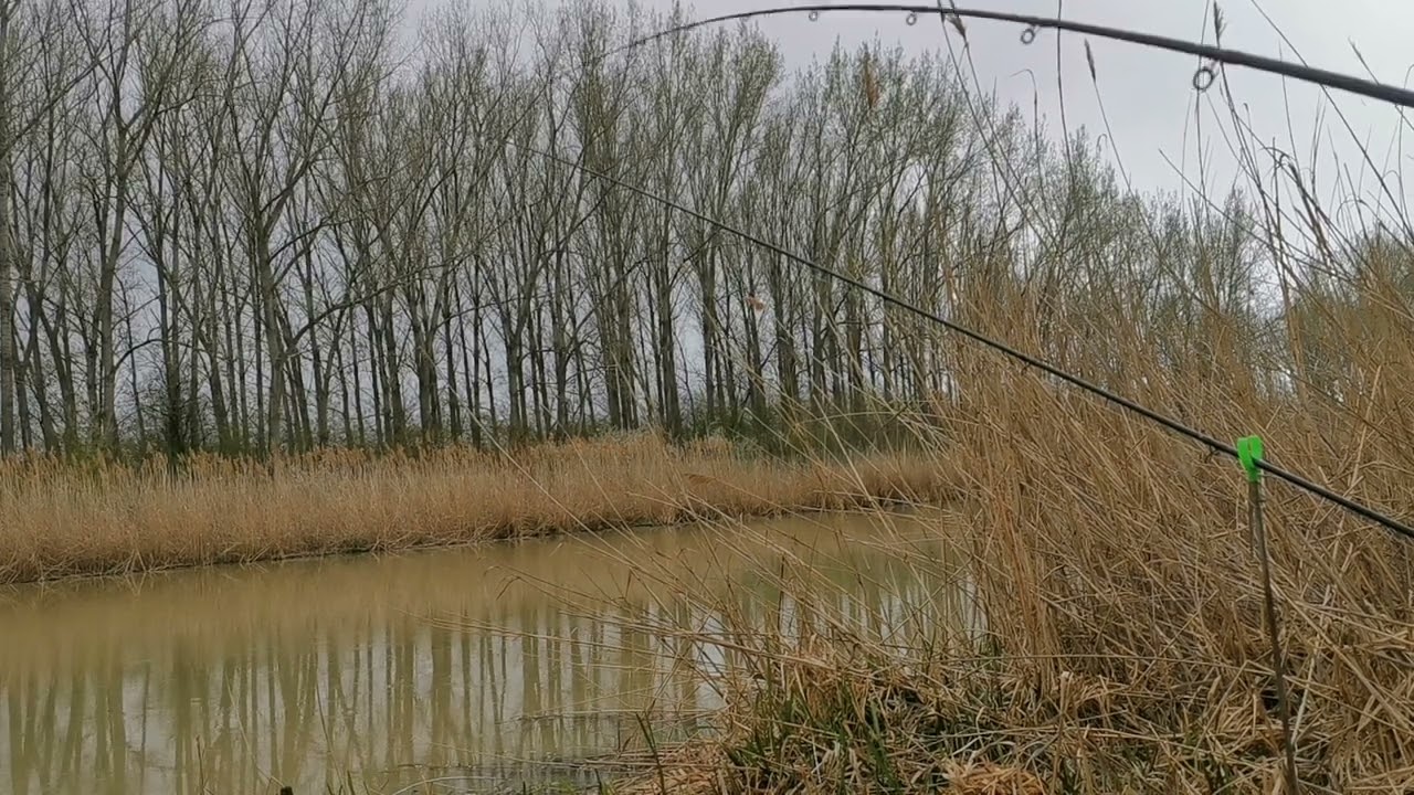 Eco horgászat - Pecázzunk együtt - Jelen helyzet a Keletin