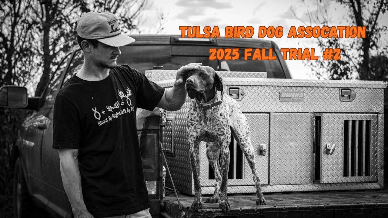 2025 Tulsa Bird Dog Association Fall #2 - Zena