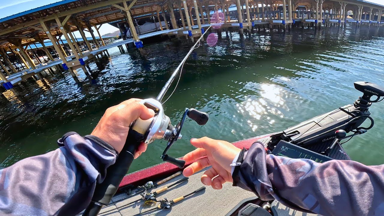 One Of The Biggest Fish I've Ever Seen! Lake Anna Winter Series || Week 1