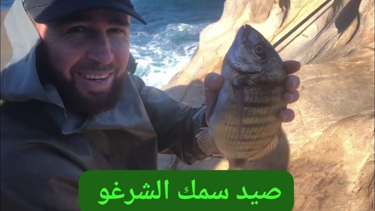 طريقة فعالة لصيد سمك الشرغو وأسماك أخرى🐟🐬