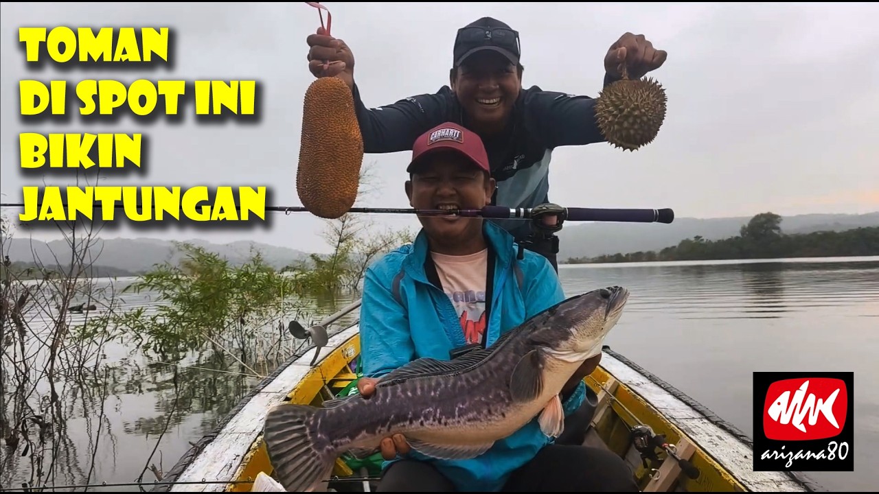 meledak ||| toman monster di bendungan cipanas