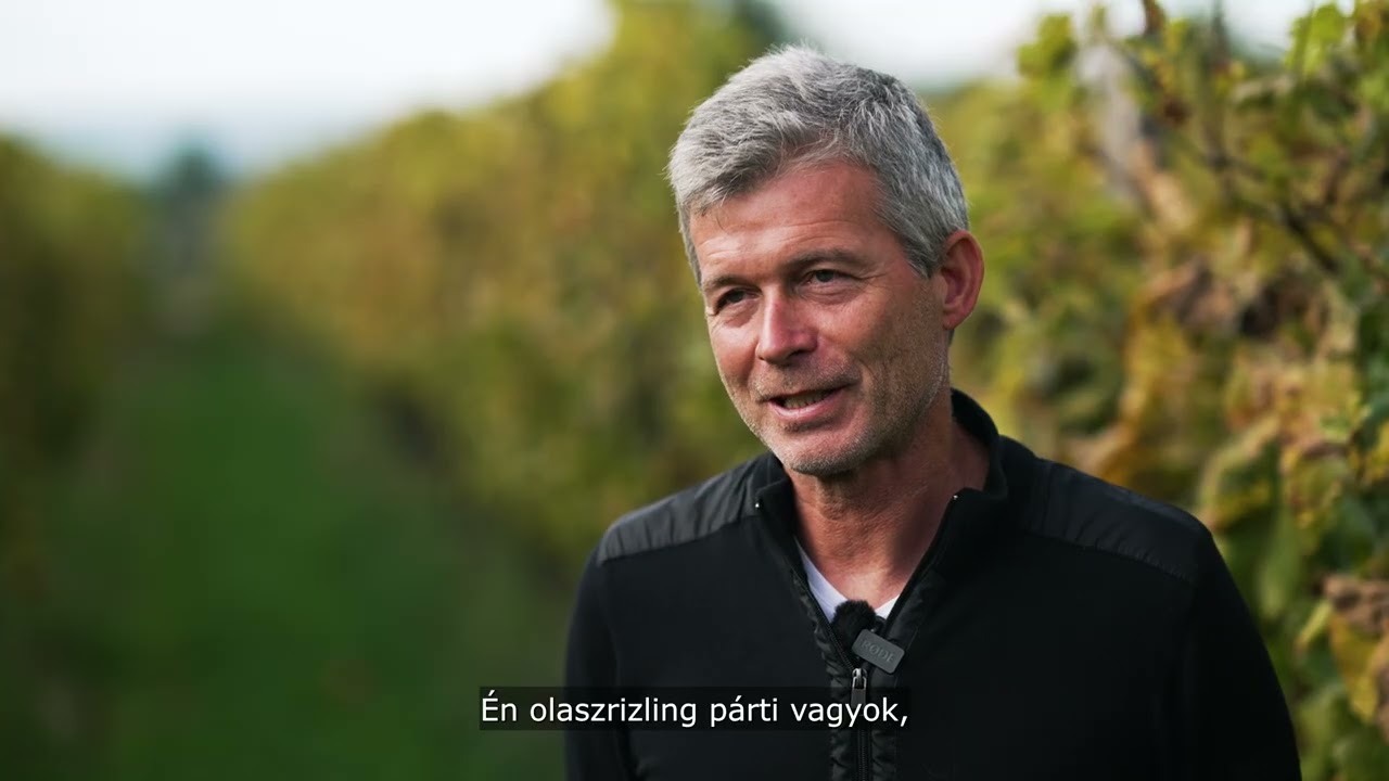 Szeremley László - Első Magyar Borház, Szeremley - Badacsony