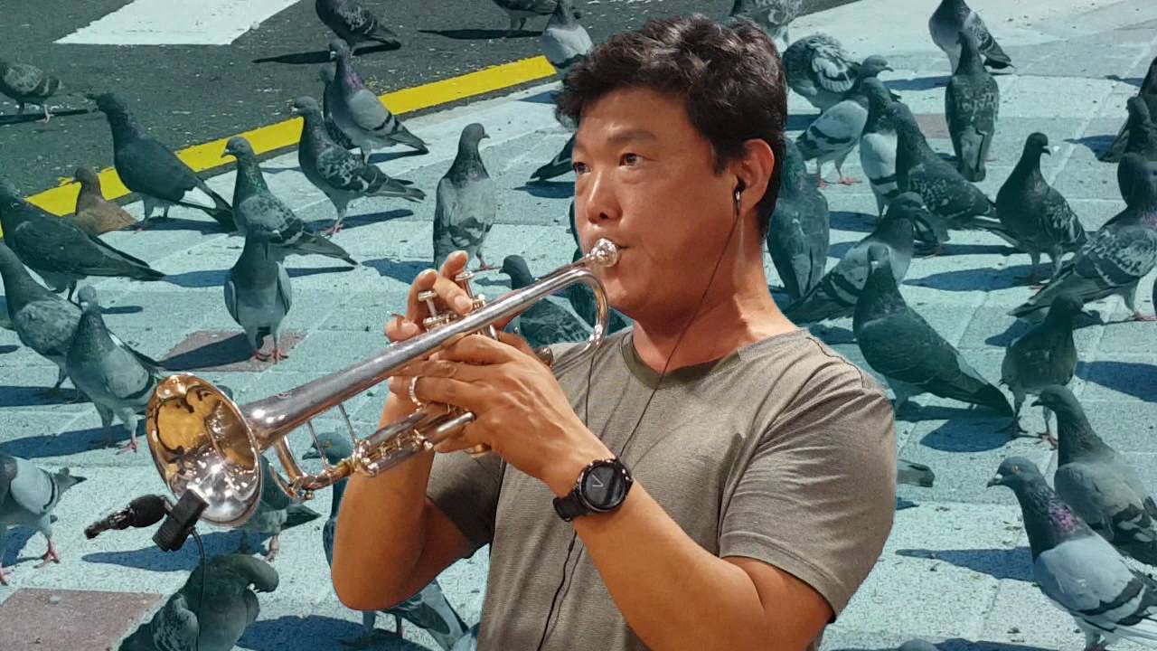 태양은가득히