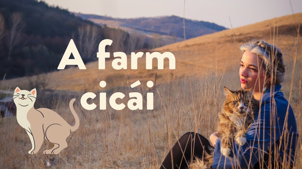 A farm cicái bemutatkoznak 🥰