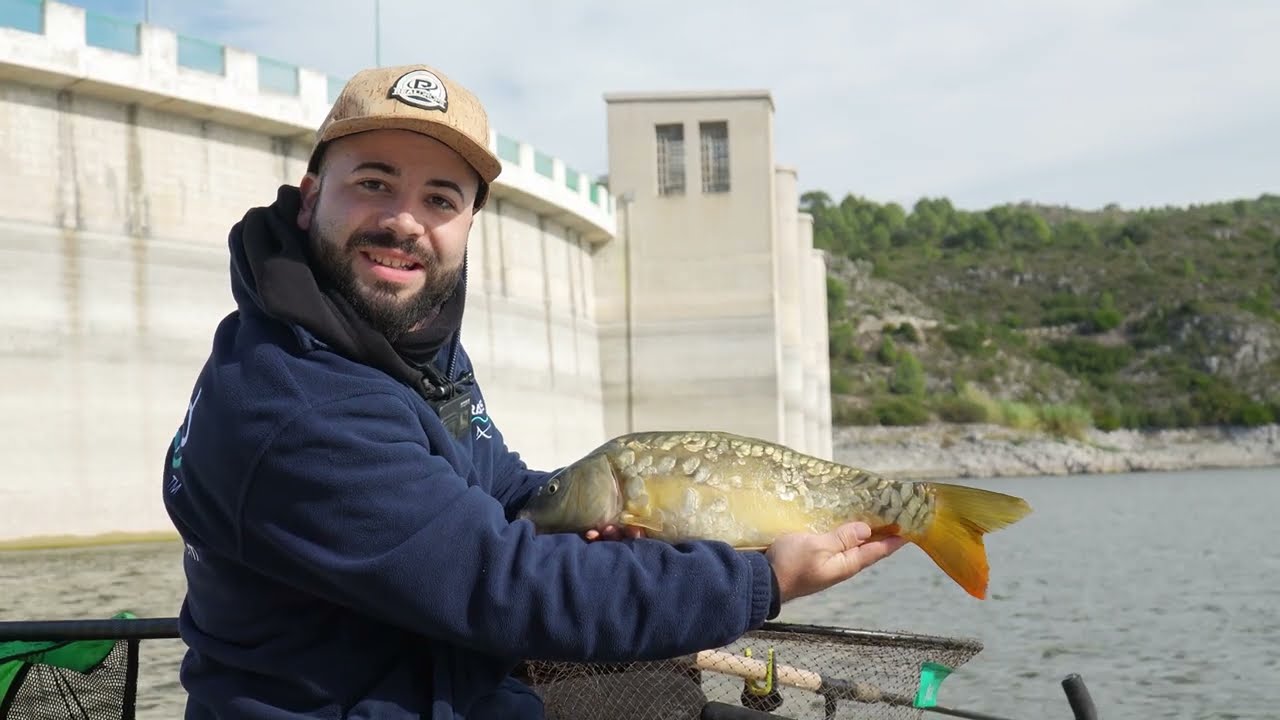 FEEDER EN BENIARRÉS