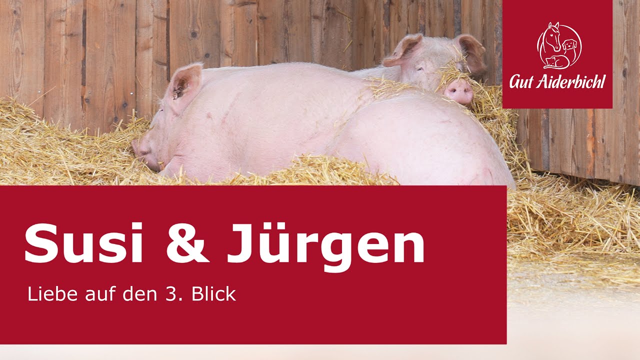Es war Liebe auf den 3. Blick – Susi und Jürgen auf Gut Aiderbichl in Henndorf