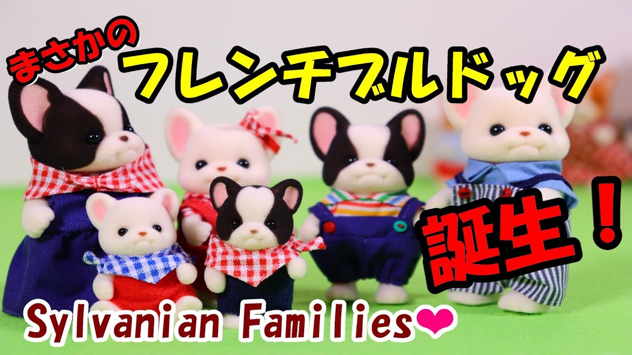 【 開封 】フレンチブルドックファミリー シルバニアファミリー　新商品【SylvanianFamilies】【CalicoCritters】【森林家族】Unboxing