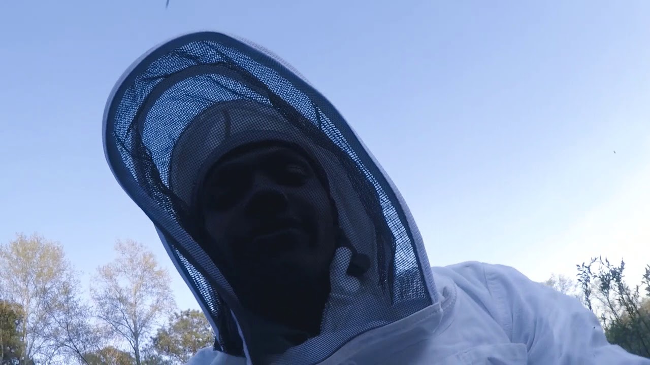 Episode 5 Tuskegee Bee Company Catching Our First Swarm April Fools Day!