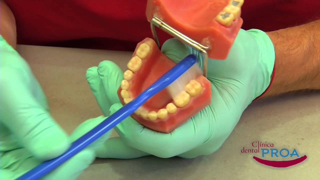¿Cómo cepillarse los dientes con un cepillo manual?