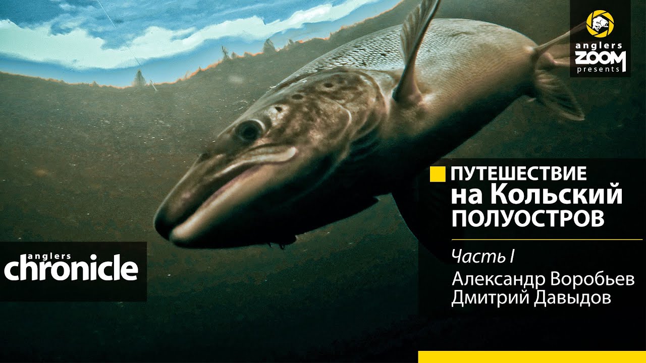 Путешествие на Кольский полуостров. Часть 1. Александр Воробьев. Дмитрий Давыдов. Anglers Chronicle.