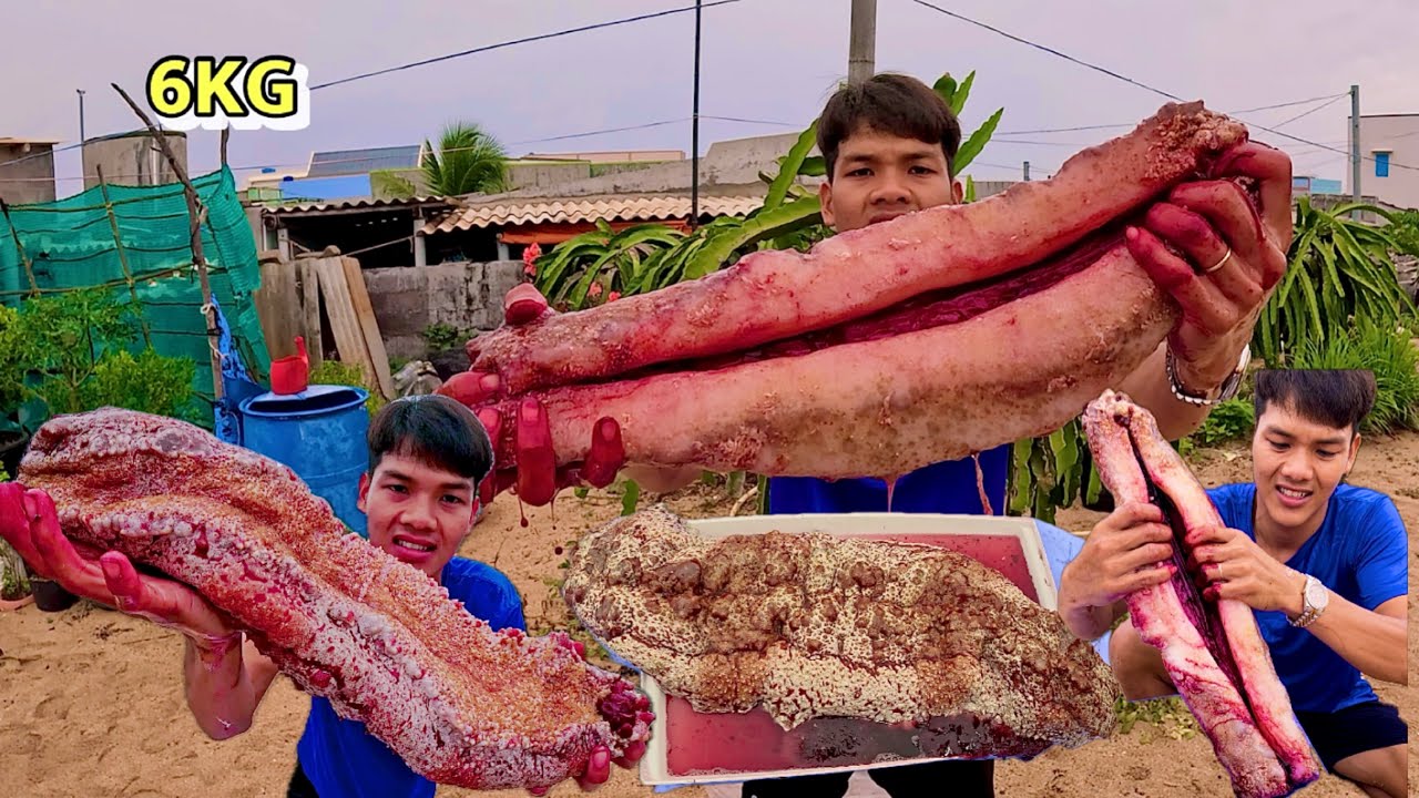 Con Quái Vật Biển Cảm Giác Ăn Nó Thật Đáng Sợ | Eat sea monsters