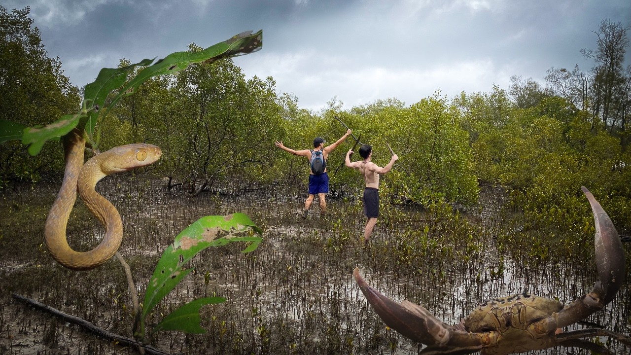 GIANT MUD CRAB CATCH & COOK!!!!!! - STUNNING BROWN TREE SNAKE APPEARANCE?!