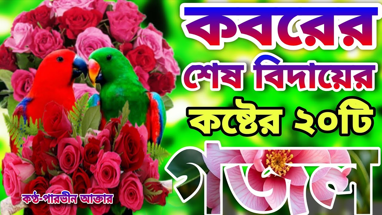 খুবই দুঃখের কবরের শেষ বিদায়ের মায়াবী কন্ঠে মনপ্রাণ জুড়ানো সেরা ২০টি গজল।ওরে কি সুন্দর পাখি রে তুই 