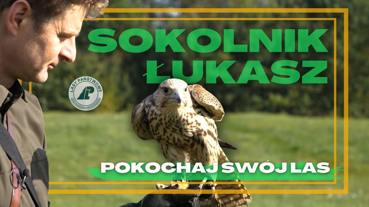 Odc. 33 #Pokochaj Swój Las - Sokolnictwo moją pasją