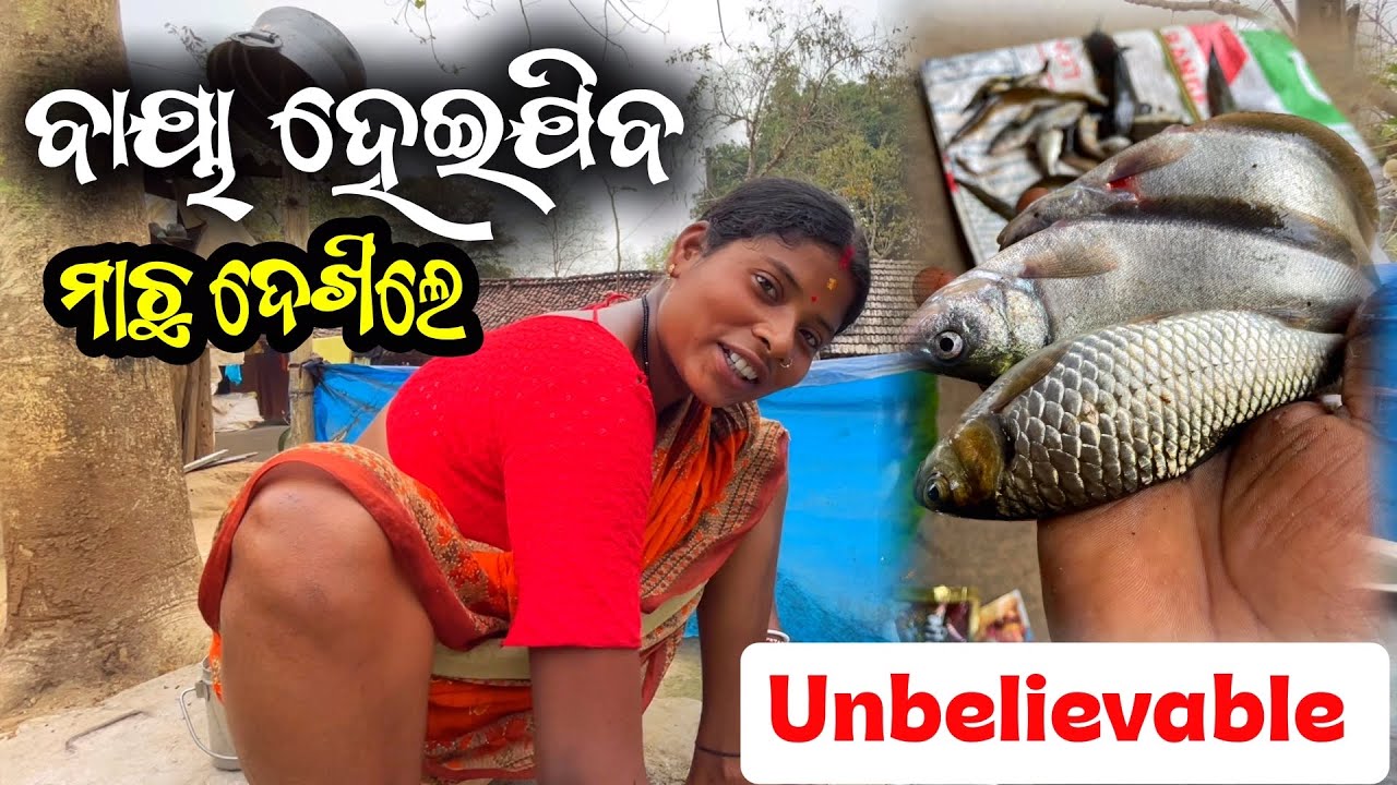 ଏତେ ସାରା ମାଛ ଦେଖି ହାୟା ଲାଗିବ ॥ Munda Tribe Vlogs #vlogsvideo 