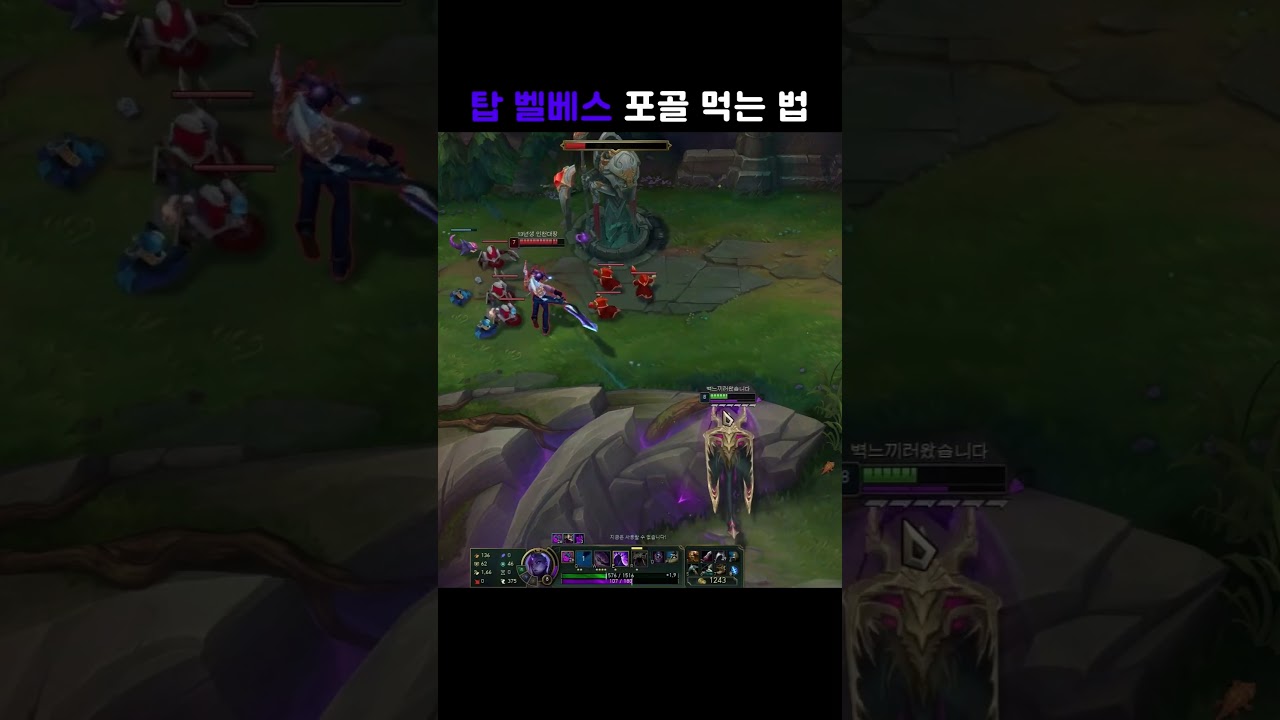 탑 벨베스가 포골 먹는 법