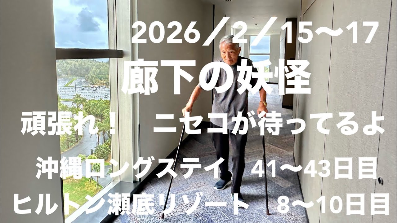 ヒルトン瀬底リゾートにいます🏝️これがリアル避寒ロングステイって滞在❣️のんびり、のんびりこんな滞在もいい。ジィは、一生懸命にリハビリをしています！春になったら、ニセコの美しい春紅葉を愛でに行こうね♬