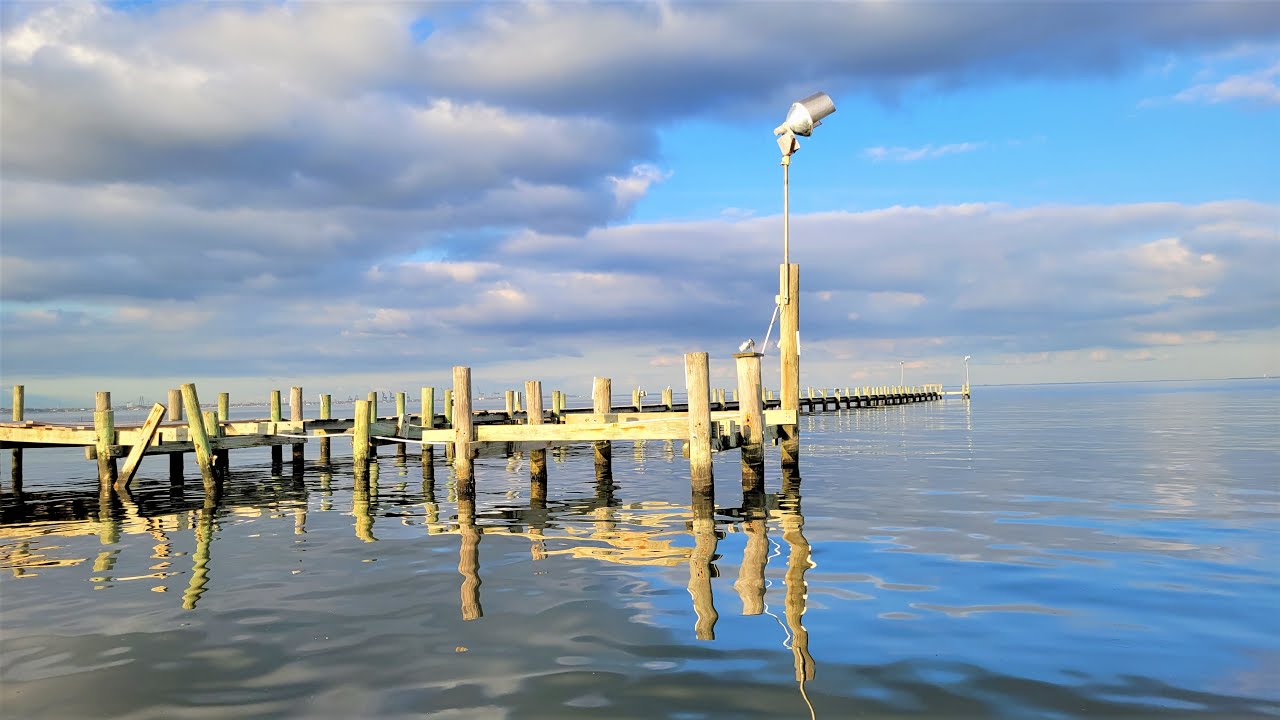 Fishing a Broken Pier (Catch, Clean, Cook)