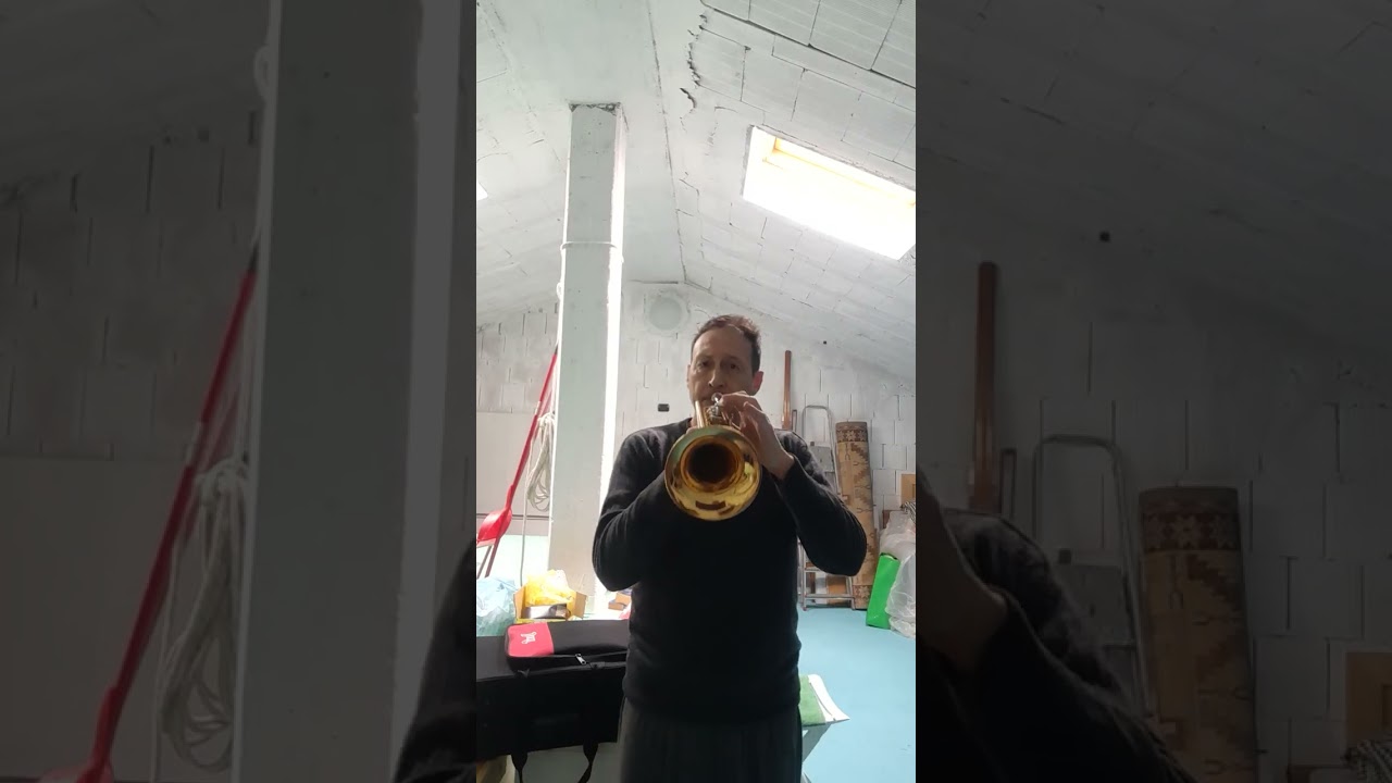 S A U D A D E    cover su base