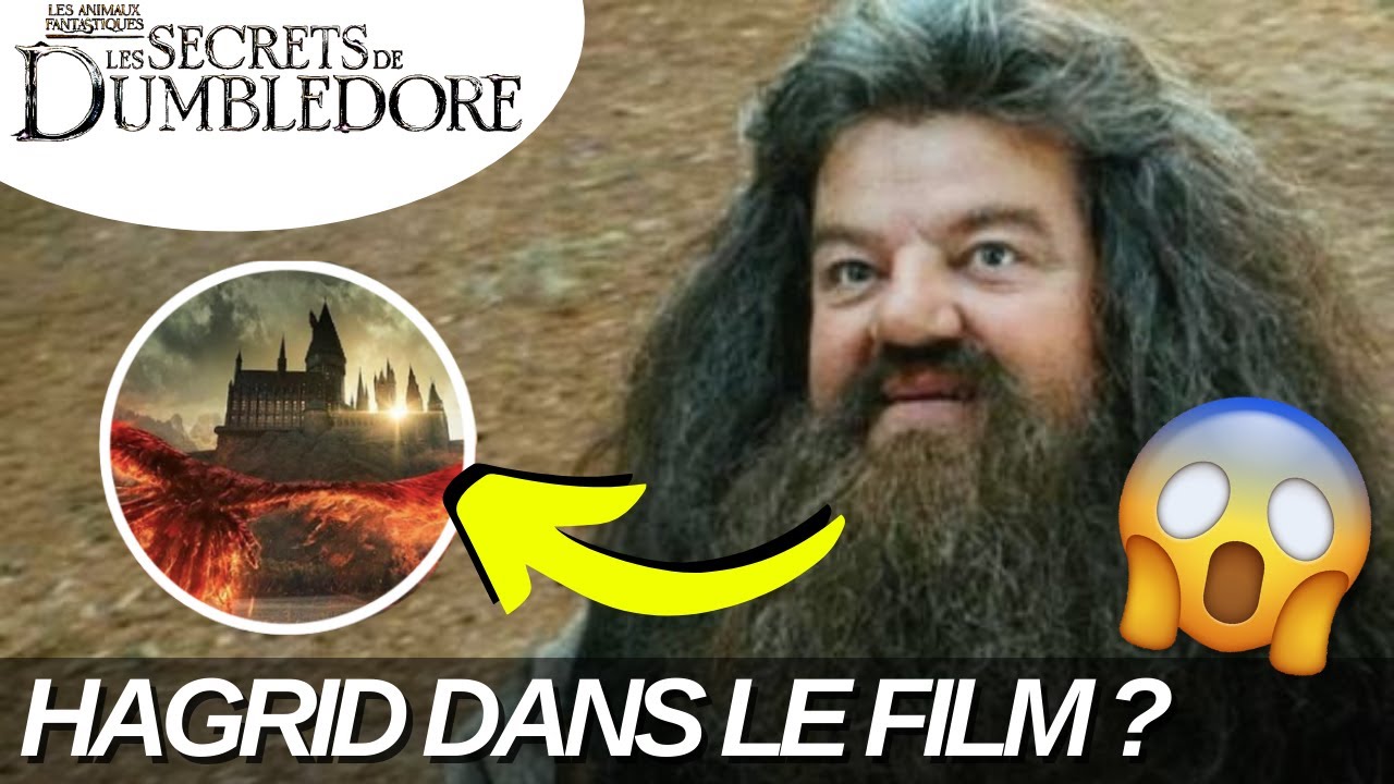 HAGRID DANS LES SECRETS DE DUMBLEDORE ???