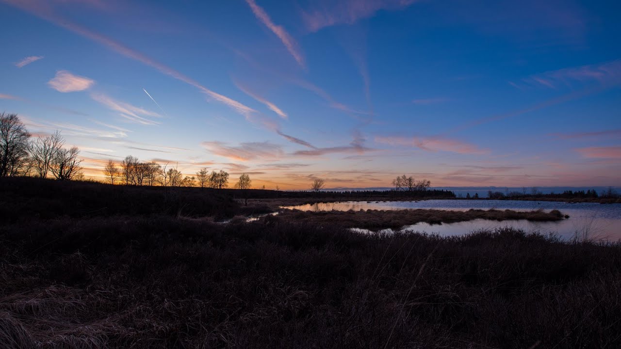 Hohes Venn Fotografie und Zeitraffer | Hautes Fagnes Photography and Timelapse 4K UHD