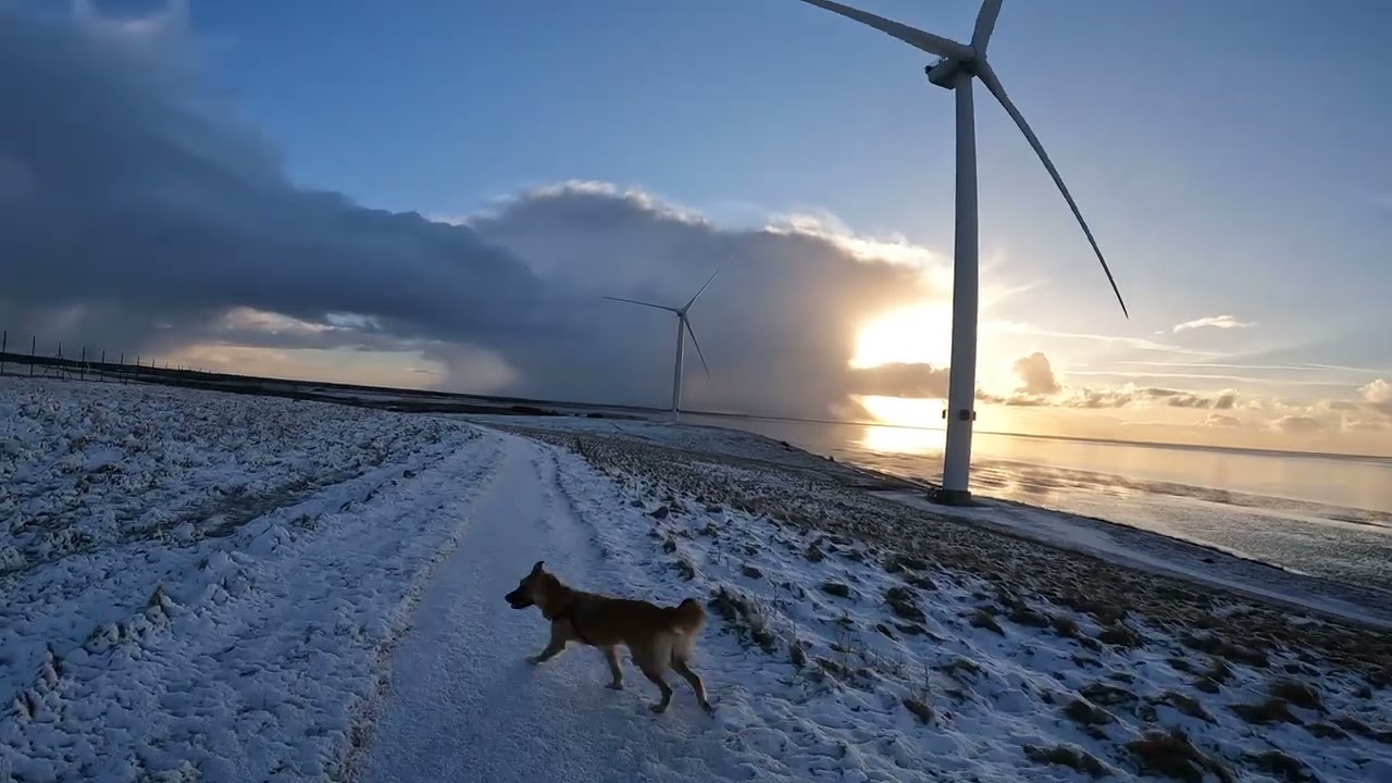 Esbjerg. Måde Bakker. Denmark.