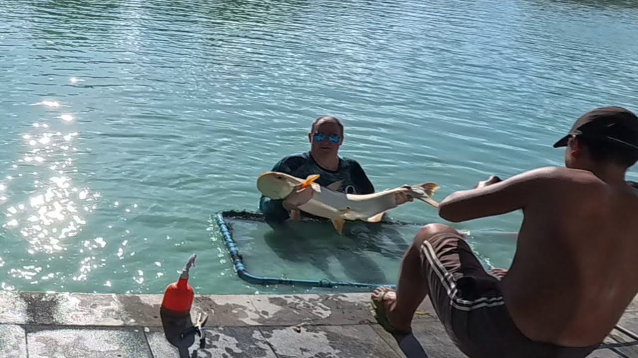 Каково это &ndash; ловить рыбу в рыболовном клубе и курорте Ко Самуи в Таиланде, Азия?